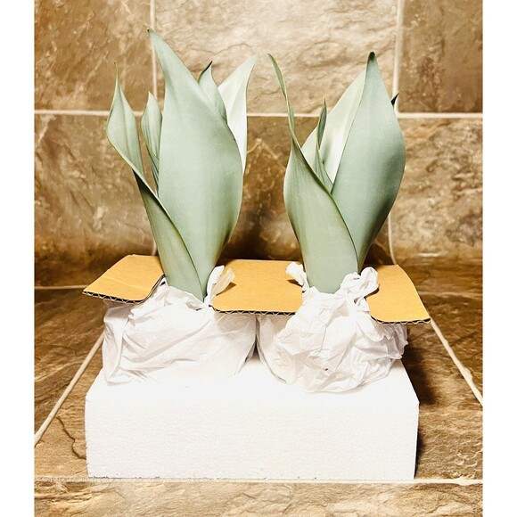 Threshold Snake Plant 9" Tabletop Indoor Faux Potted Houseplant - Set of 2 - Picture 6 of 6